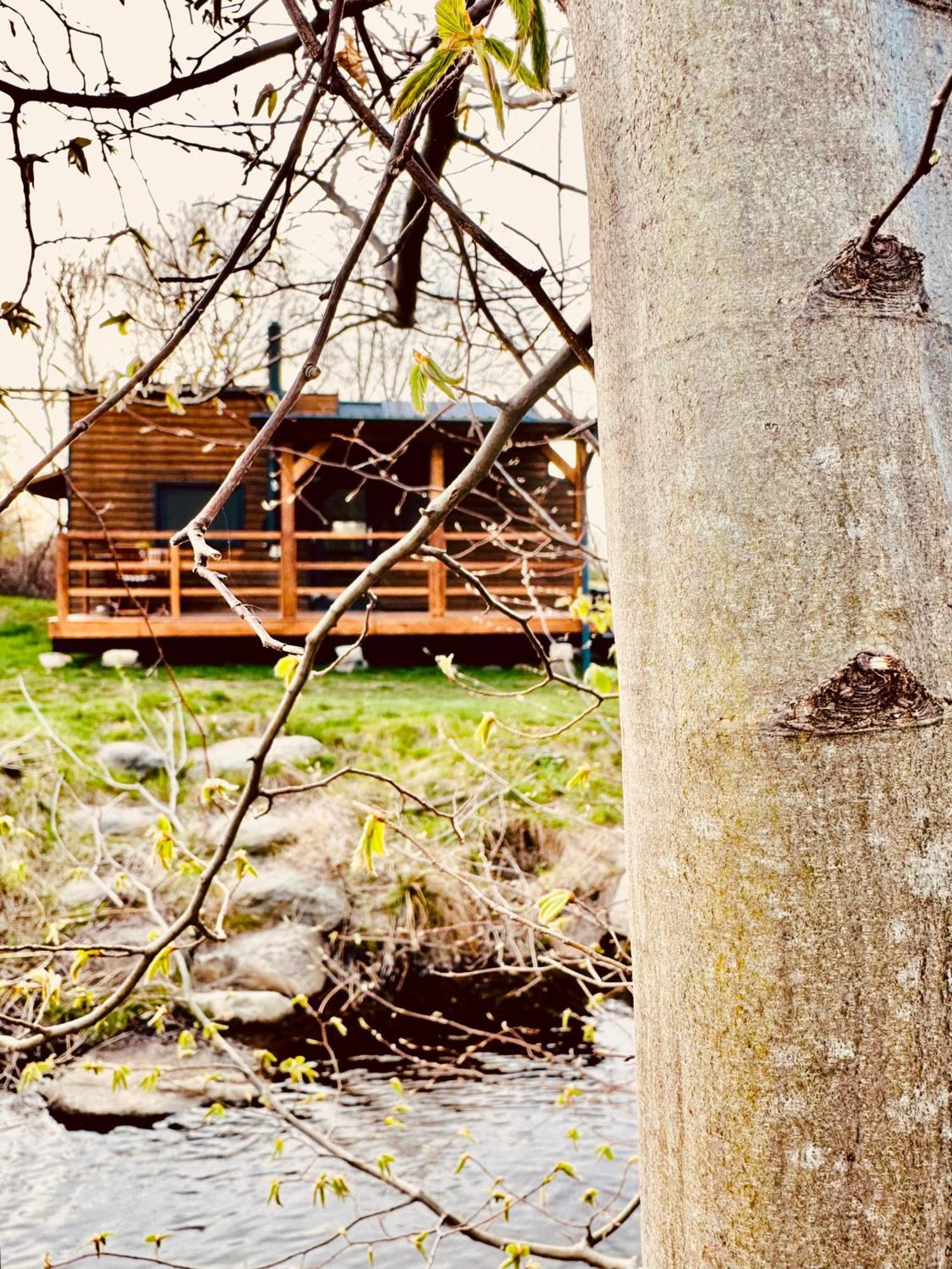 Tiny Home Dejani Екстер'єр фото